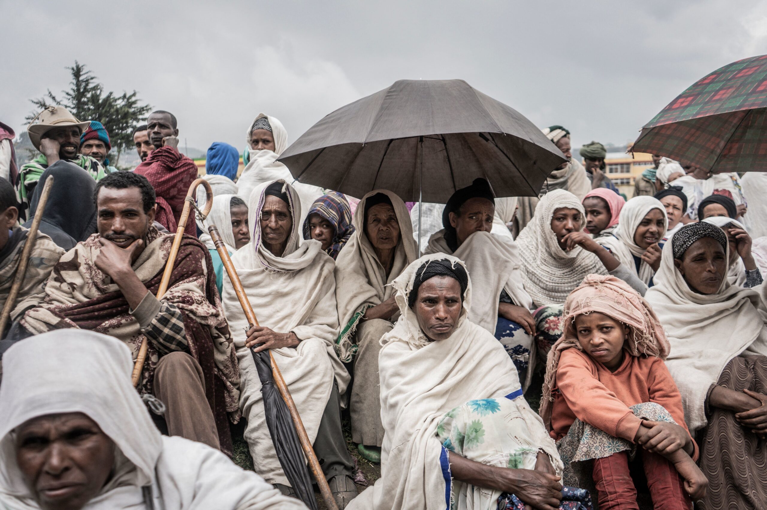 አማራን ለምን?