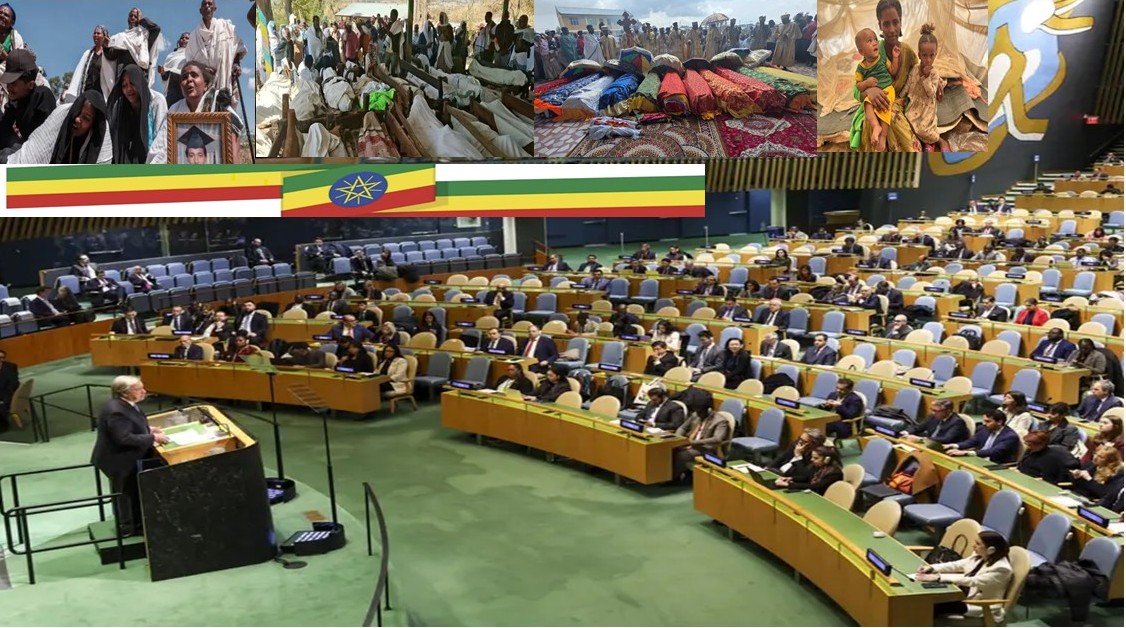 ተመድ በኢትዮጵያ በንጹሃን ዜጎች ላይ የሚደርሰው ግድያ አሳስቦኛል አለ